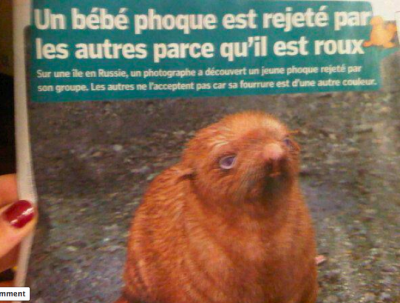 Capture d’e?cran 2011-11-08 a? 00.32.13.png