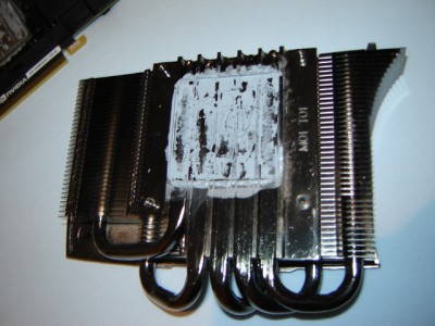 Copie de DSC00883.JPG