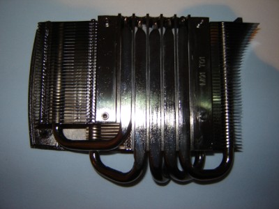 Copie de DSC00886.JPG