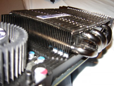 Copie de DSC00892.JPG