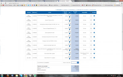 Bonsoir à tous, je voudrais savoir si la configuration que j'ai choisie est plutot bonne et si tous les composant peuvent s'assembler.